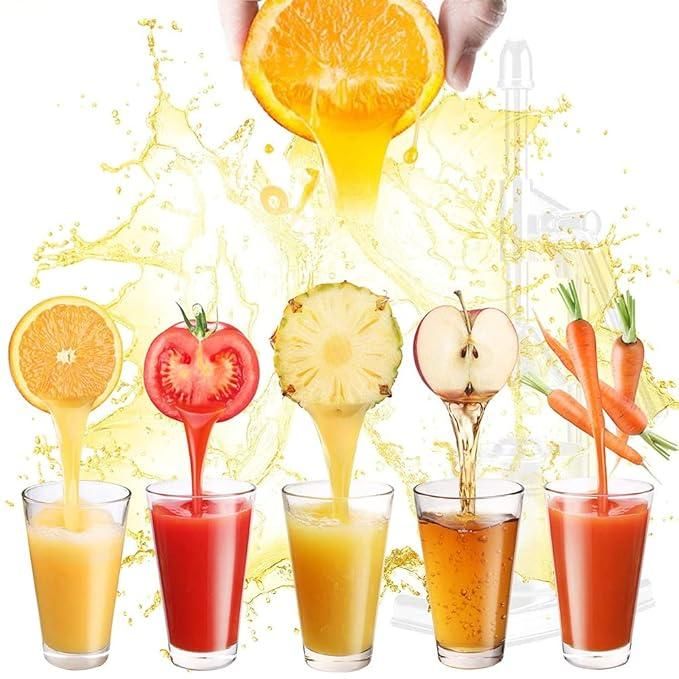 Manual Stainless Steel Fruit Juicer Press | Heavy-Duty Commercial Grade Citrus Squeezer Machine