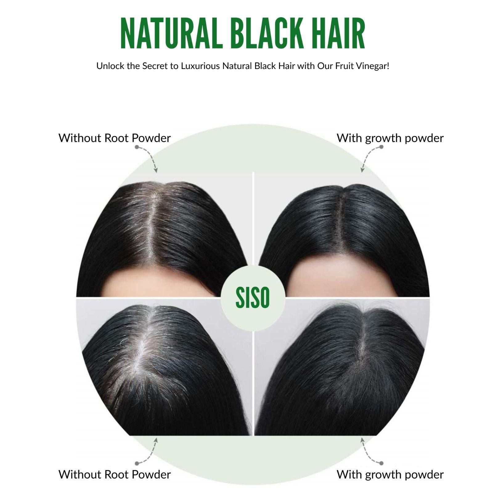 Fruit Vinegar Gel Based Hair Color 125ML (Pack of 2) for Ammonia-Free, 100% Grey Coverage & Shine