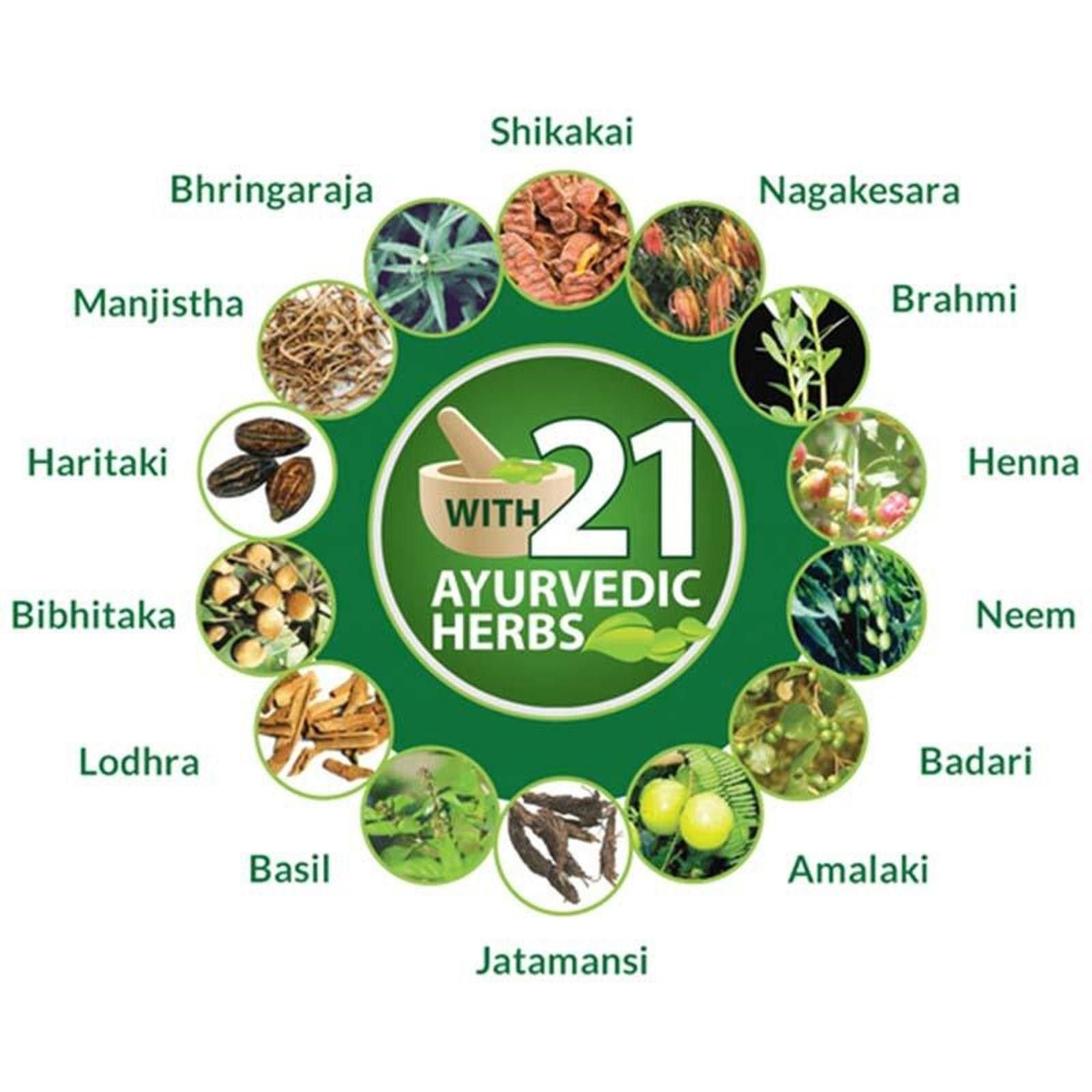 Aen Queen 18 Herbs Hair Oil 200ML | Scalp Health, Growth & Natural Shine